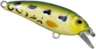 0001_Spro_Chibi_Shad_40_SL_[Leopard_Frog].jpg